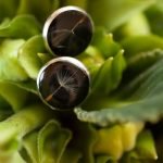 Handmade earrings with dandelion fluff