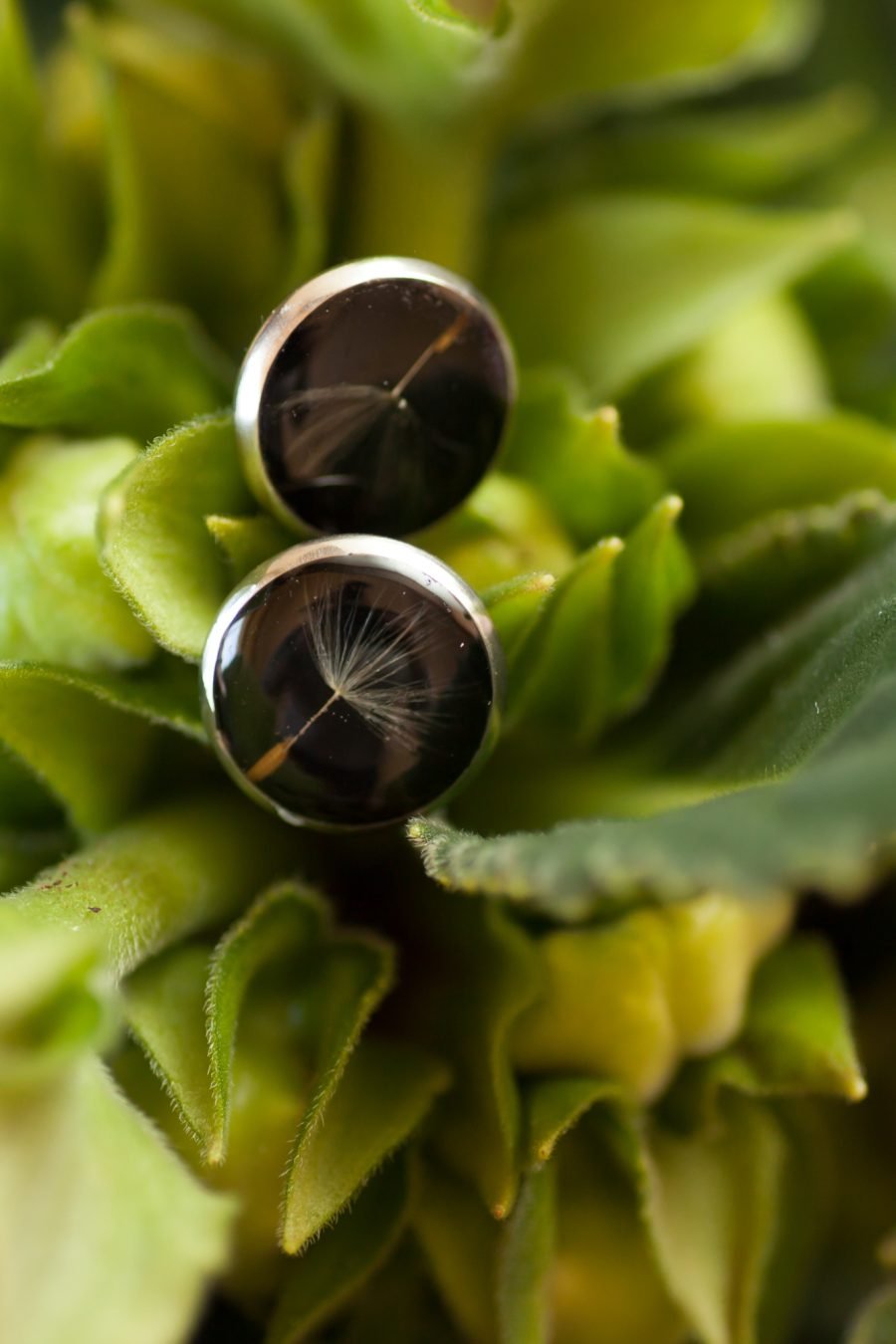 Handmade earrings with dandelion fluff