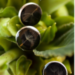 Handmade earrings and brooch with dandelion - Image 2