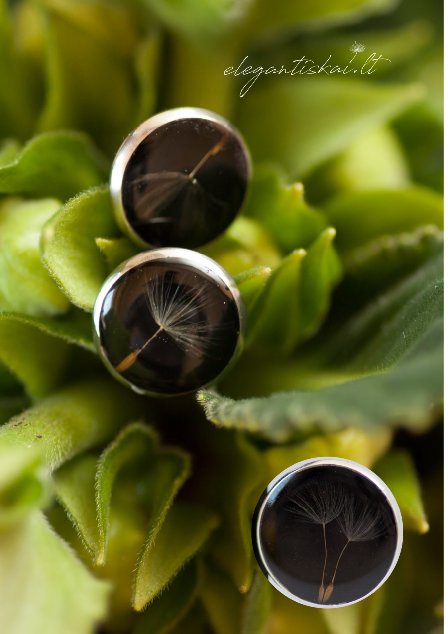 Handmade earrings and brooch with dandelion - Image 2