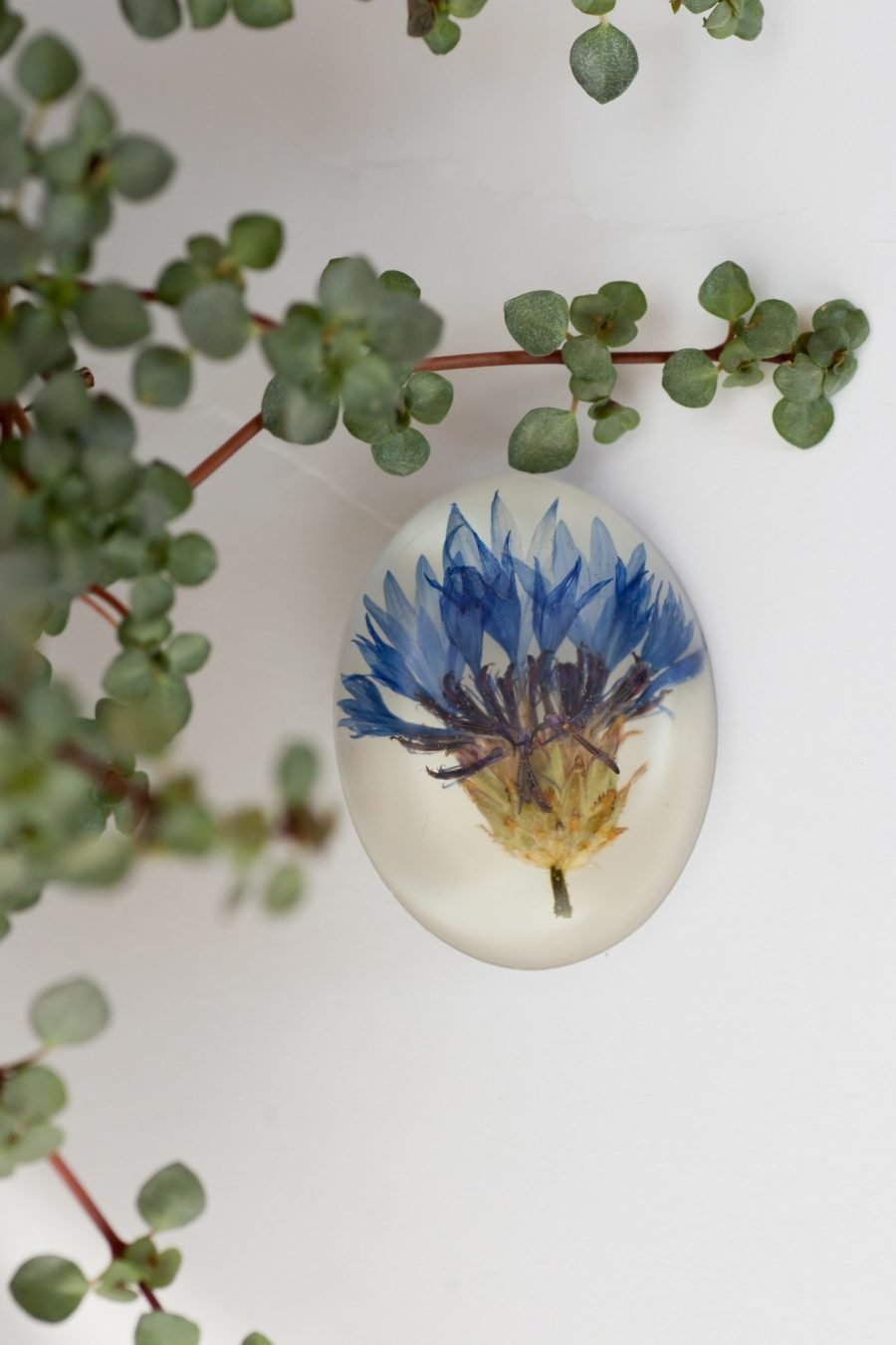 Handmade brooch with cornflowers