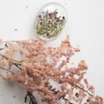 Original brooch with real plants
