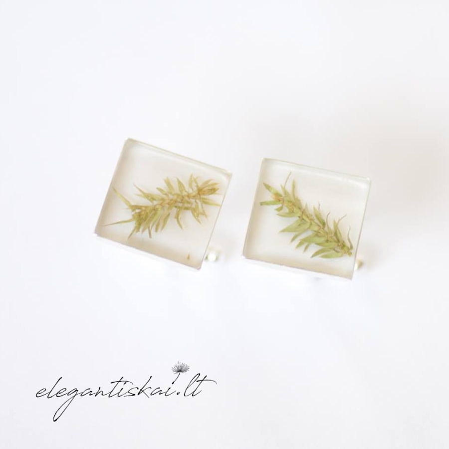 Wedding cufflinks for the groom with plants - Image 4