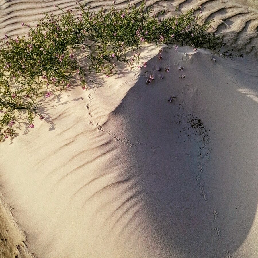 One-of-a-kind, hand-woven linen rug "Dune" - Image 3